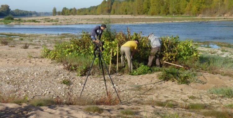 Action b&eacute;n&eacute;vole - Chantiers &icirc;lots &agrave; sternes